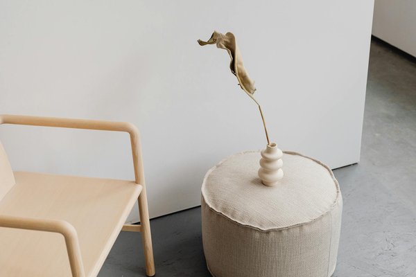 Tapis déco pour animaux : des options résistantes et stylées